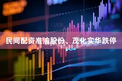 民间配资准油股份、茂化实华跌停