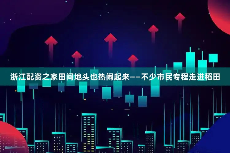 浙江配资之家田间地头也热闹起来——不少市民专程走进稻田
