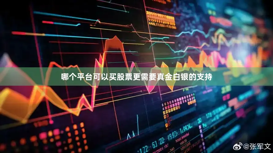 哪个平台可以买股票更需要真金白银的支持